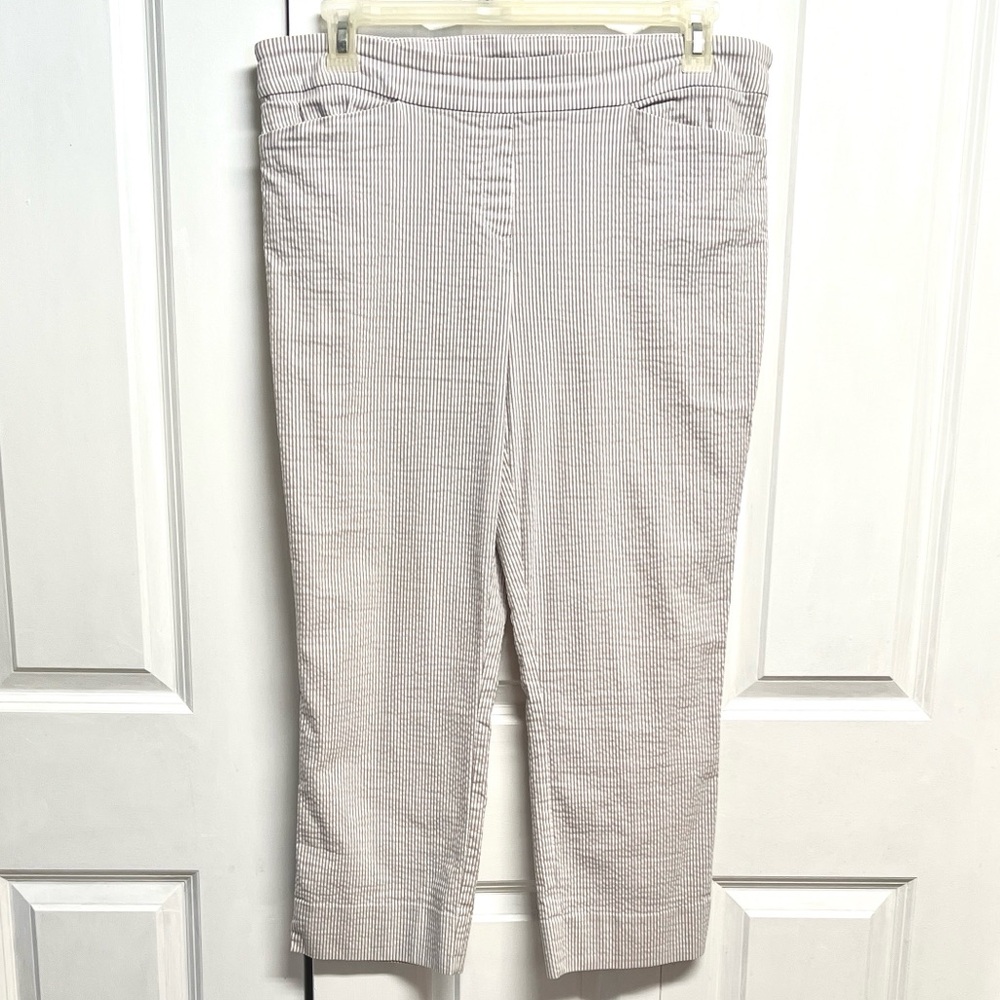 Hilary Radley Cropped Ponte Pants in Light Olive Stripe Size XL